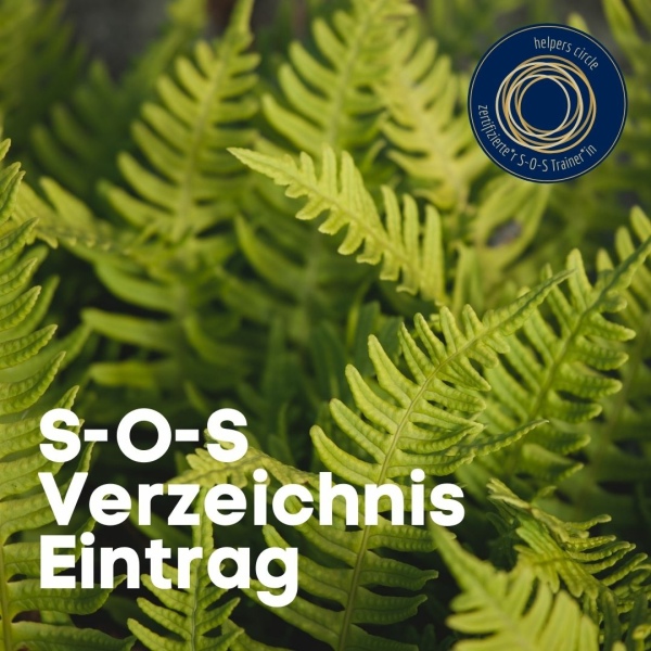 Eintrag ins S-O-S Verzeichnis für Trainer*innen und Anleiter*innen
