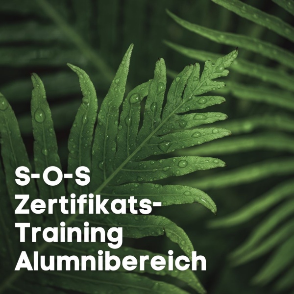Alumni-Bereich Zertifikats-Training